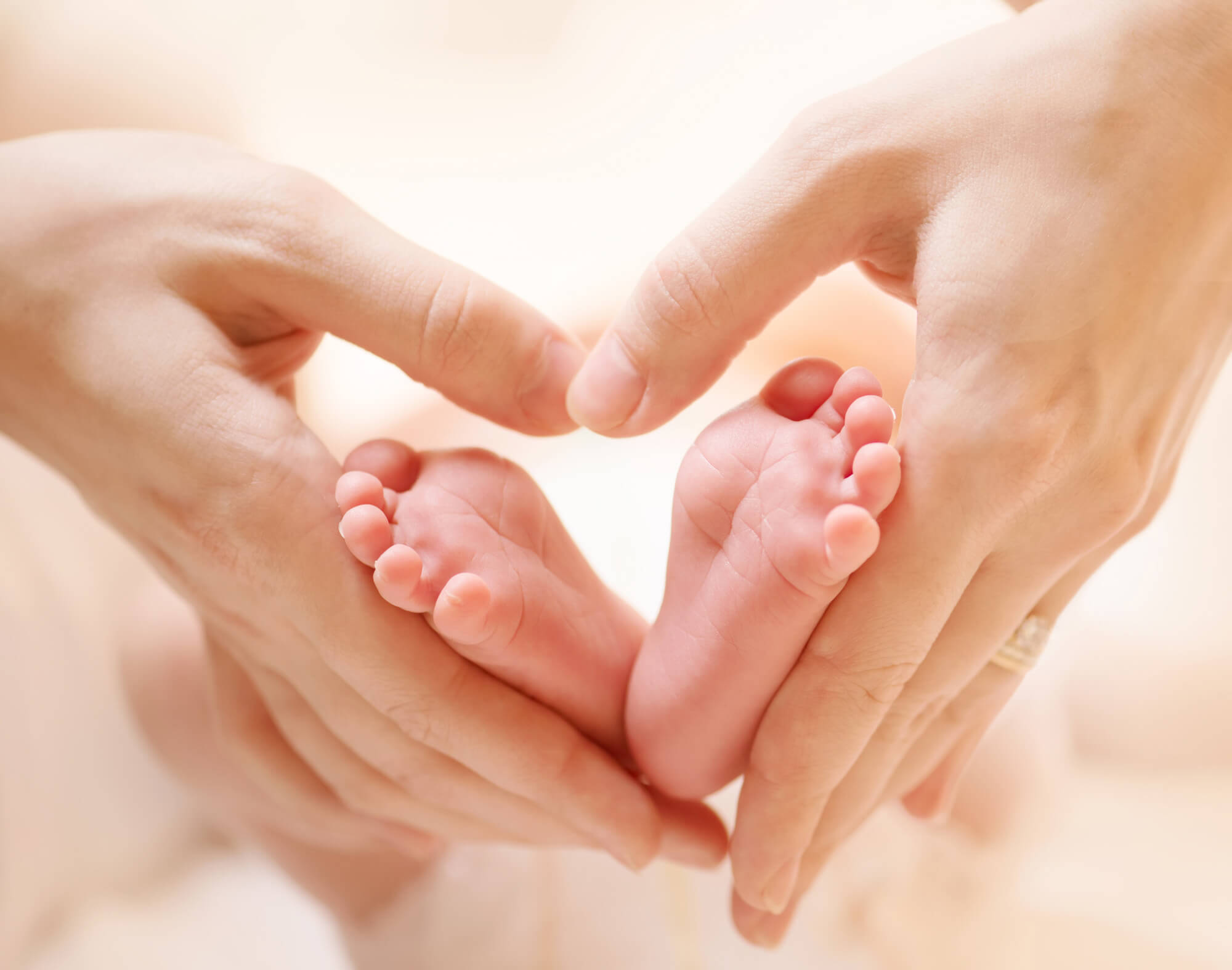 adoption baby fee - Adoption in Queensland